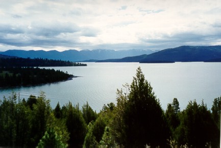 Flathead Lake, 1999 (31KB)