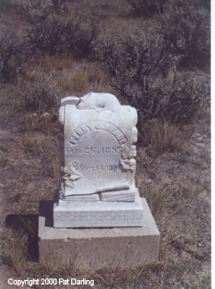 Bannack Cemetery, Perry J. Meade
