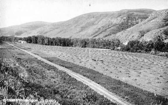 Haying the Walter Goodman Ranch, Belt Valley, Cascade County, Montana