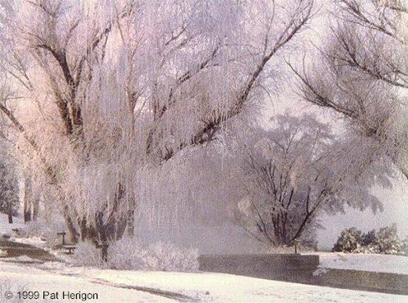 Winter at Giant Springs, Great Falls, Cascade County, Montana