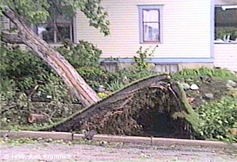 Damage from Tornado August 14, 1999