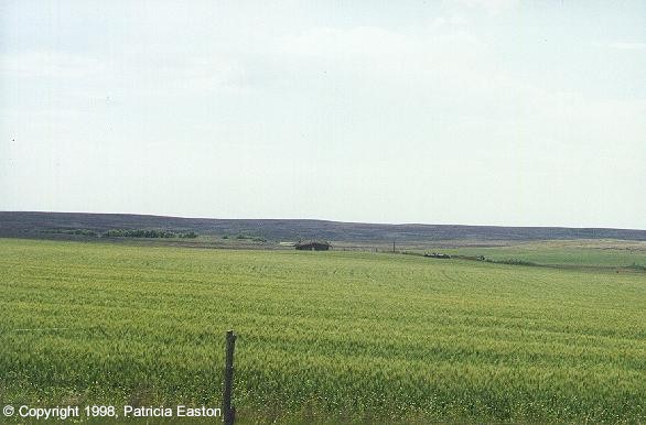 The Center of the County between Jordan and Cohagen