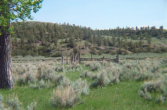 Old Corral near the Coon Cemetery, Musselshell River Breaks