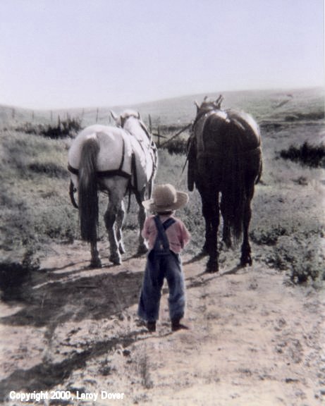 John E. Dover, Driving Buck and Daisy to the Field