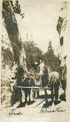 The Armstrong Horses, Ted and Buster, Hellgate Canyon, Meagher County, Montana