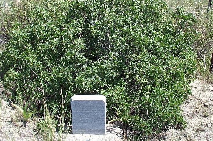 John Fairbairn Ashley Cemetery, Ashley,  Petroleum County, Montana