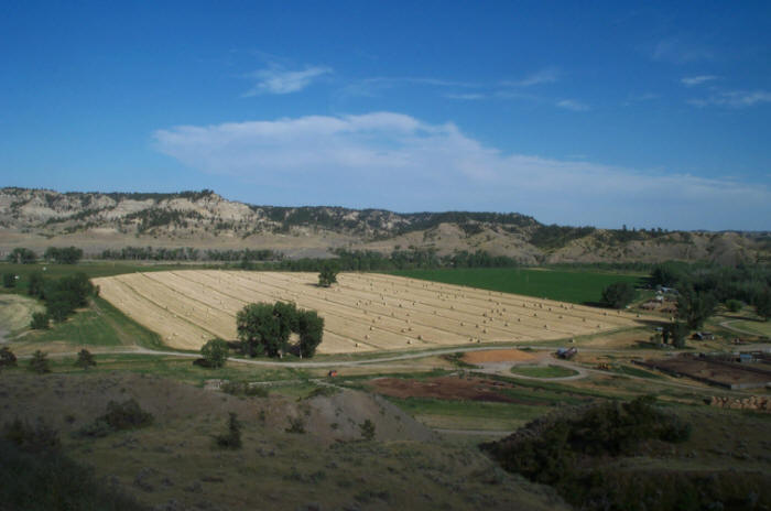 Hay Fields on the Musselshell River bottom, Petroleum County, Montana