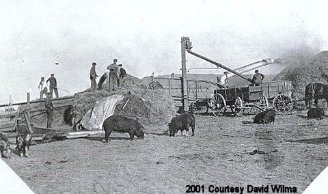 Threshing wheat on the farm of William Dorn (1858-1961), Phillips Co., Montana,