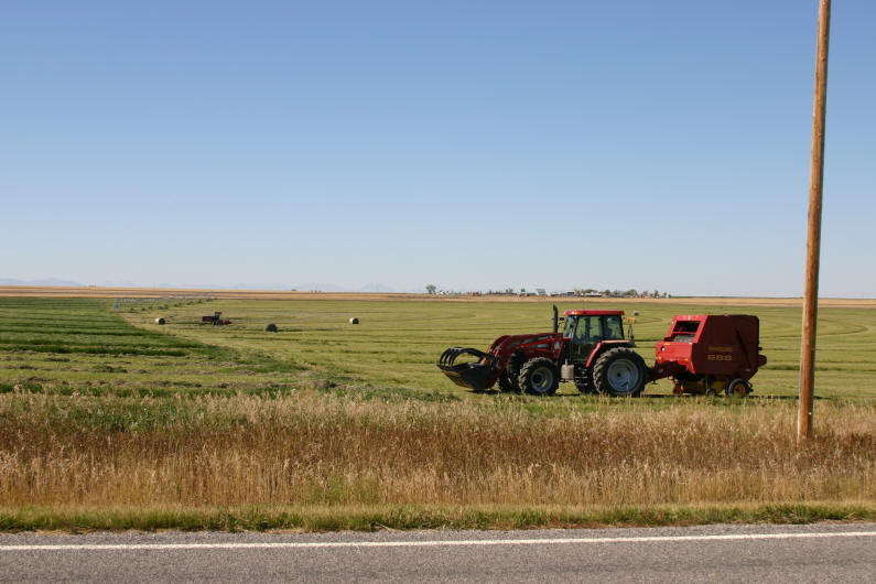 Tractor and Baler, Pondera County, Montana