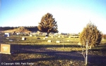 t_rosebud-forsyth-cemetery-2.jpg (2906 bytes)