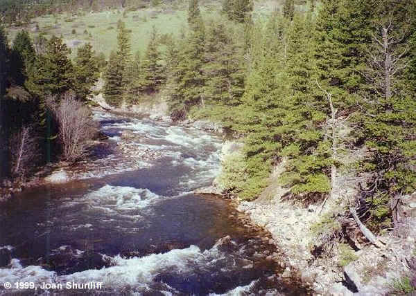 The Boulder River