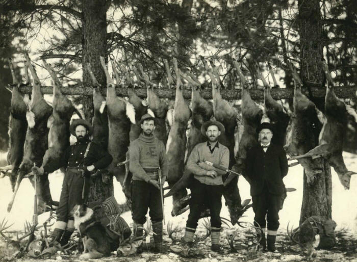Unknown Men and the Deer from their Hunt, Possibly Flathead or Lincoln County, Montana