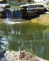 Waterfowl Pond