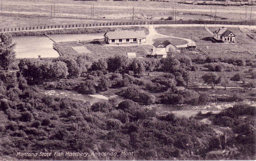 PostCards of the Past