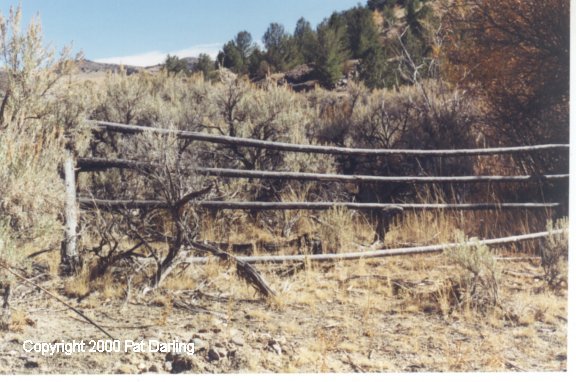 Old Wood Fence