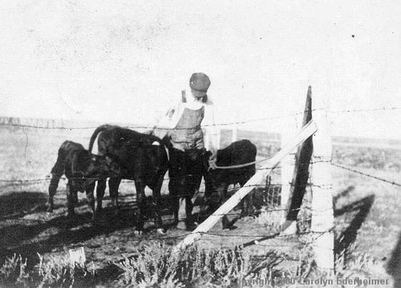 Tending the Calves, Milton Christie, 1917