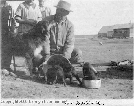 Milton Hopkins Feeding the Pigs 1917
