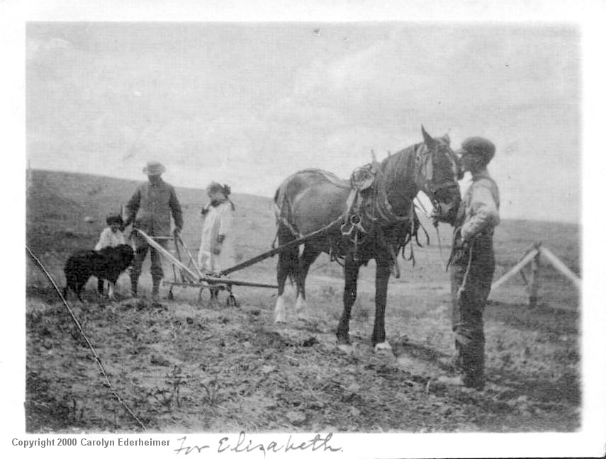 The Hopkins Family, Plowing -1917 Front