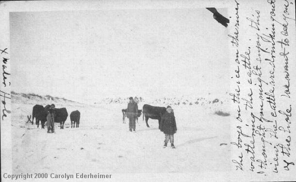 The Watering Hole, Hopkins Ranch-Postcard Front