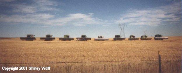 9 of 12 Combines at the Wolff Farm