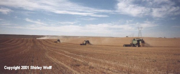 3 of 12 Combines at the Wolff Farm