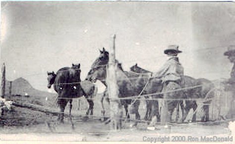 Byron L. Clow Working Horses