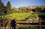 t_glacier-park-east-glacier-lodge.jpg (3381 bytes)