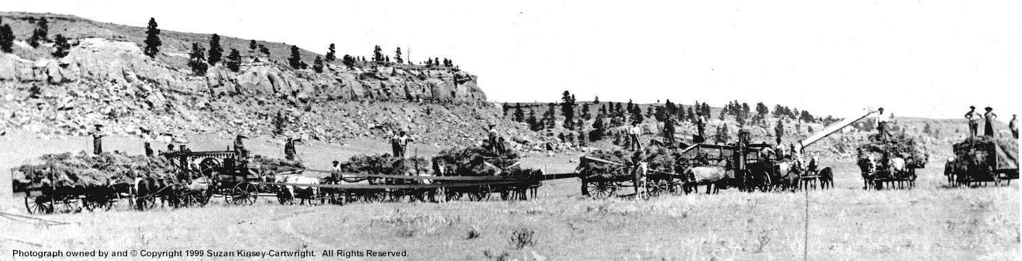 golden-valley-bigcoulee-harvest.jpg (190603 bytes)