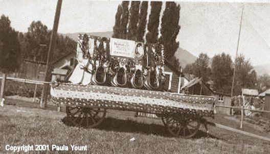 Harnesses etc. Made By Cal Matlick