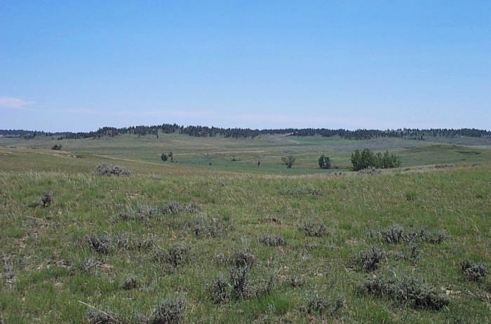 Area around Ashley Cemetery, Ashley,  Petroleum County, Montana