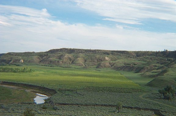 Fields on the River Bottom