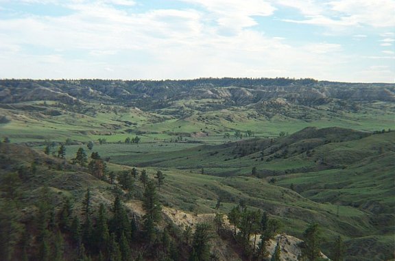 Blood Creek, Musselshell River Breaks, Petroleum County, Montana