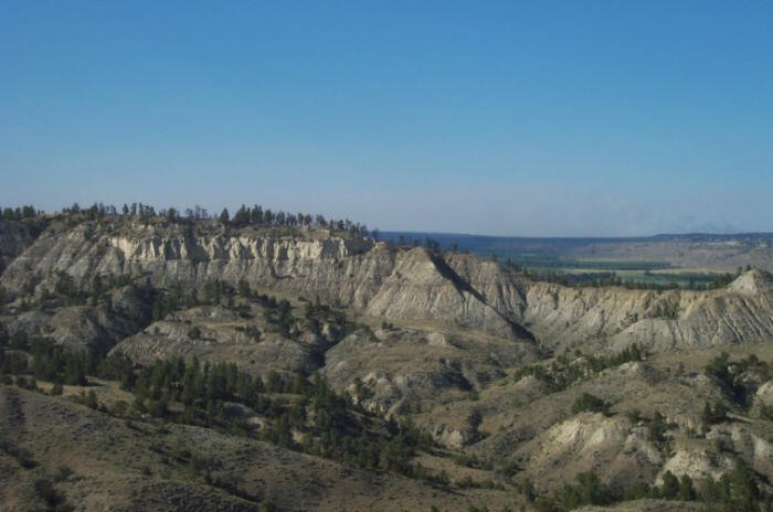 Usher Coulee, Musselshell River bottom, Petroleum County, Montana