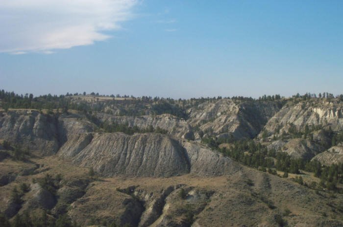 Musselshell River bottom, Petroleum County, Montana