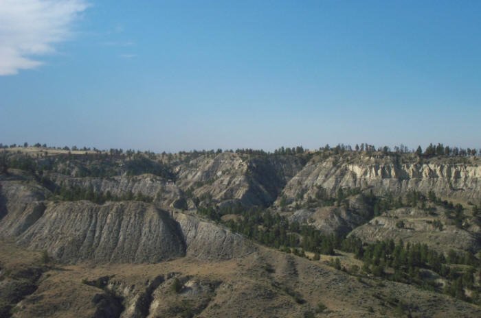 Musselshell River bottom, Petroleum County, Montana