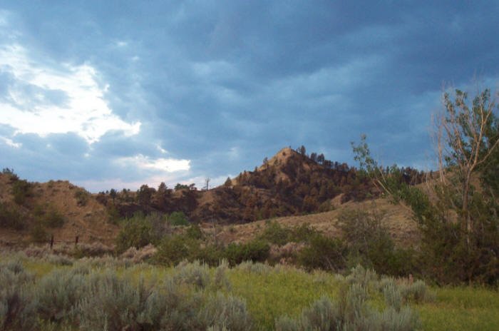 Musselshell River bottom, Petroleum County, Montana