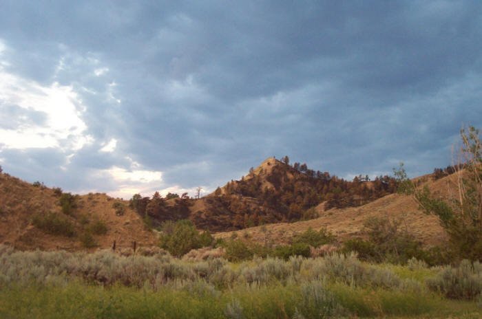 Musselshell River bottom, Petroleum County, Montana