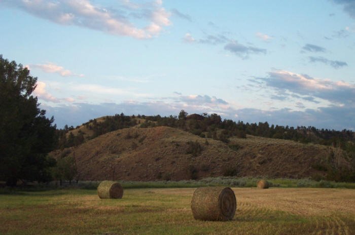 Musselshell River bottom, Petroleum County, Montana