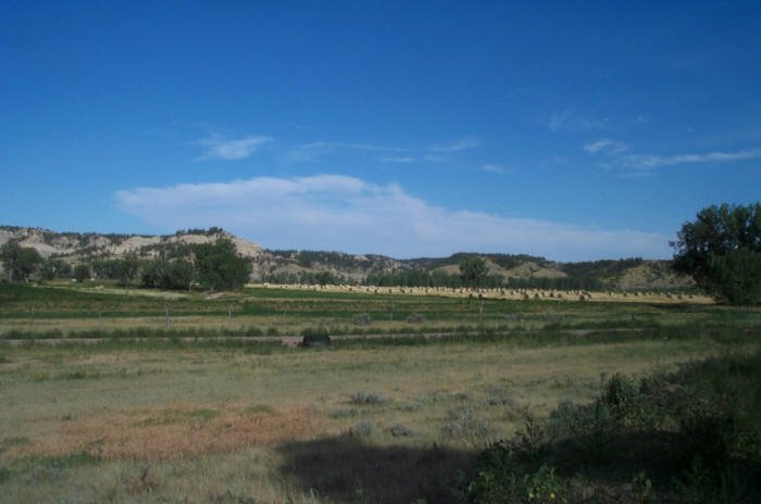 Musselshell River bottom, Petroleum County, Montana