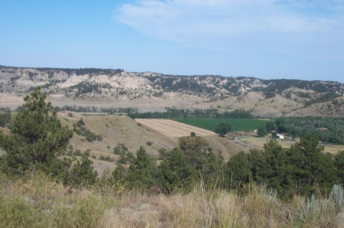 Musselshell River bottom, Petroleum County, Montana