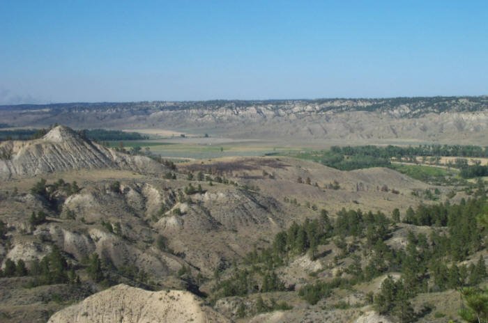 Musselshell River bottom, Petroleum County, Montana