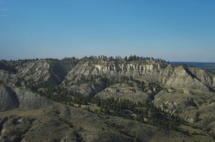 Musselshell River bottom, Petroleum County, Montana