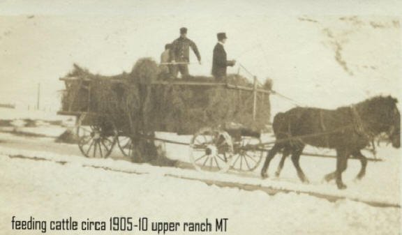 Feeding Cattle Upper Ranch