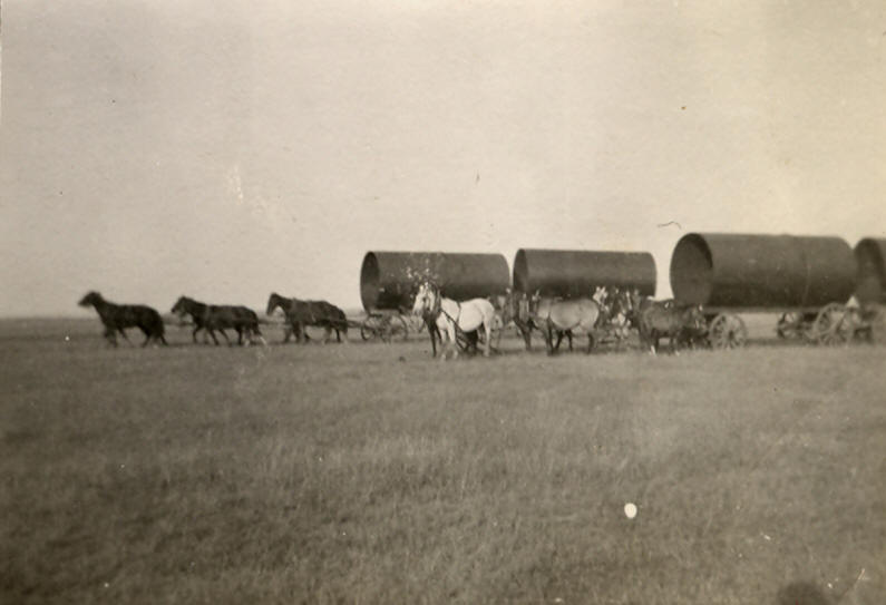 Teams of Horses and Pipes Valier, Pondera County, Montana