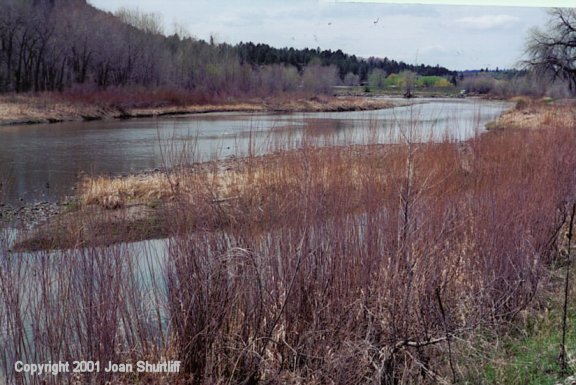 Yellowstone River at Columbus