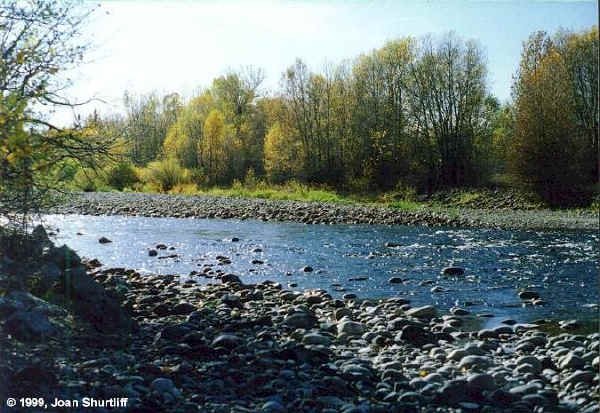 The Boulder River