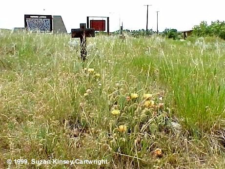 13 Soldiers Sign and Cactus in Bloom at Boothill Cemetery